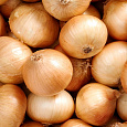 Лук Репчатый Каратальский Лук Репчатый Каратальский