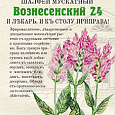 Шалфей Мускатный Вознесенский 24 Шалфей Мускатный Вознесенский 24