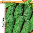 Огурец  Пикник F1 Огурец  Пикник F1