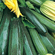Кабачок Изумруд Кабачок Изумруд