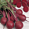 Свёкла столовая Экшен F1 Свёкла столовая Экшен F1