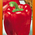 Перец Сладкий Фламенко F1 Перец Сладкий Фламенко F1
