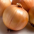 Лук Репчатый Золотничок Лук Репчатый Золотничок
