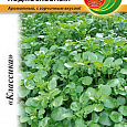 Салат Кресс водяной Подмосковный Салат Кресс водяной Подмосковный